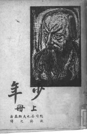 少年  上下 - 封面图