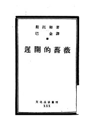 迟开的蔷薇 - 封面图