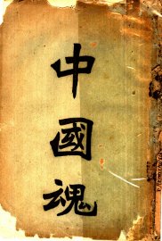 中国魂 - 封面图