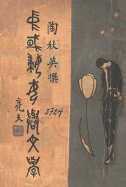 中国妇女与文学 - 封面图