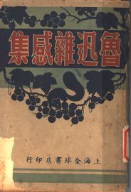 鲁迅杂感集 - 封面图