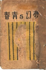 梦幻与青春 - 封面图