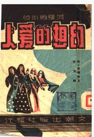 长篇名著小说  幻想的爱人 - 封面图