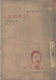 少年的悲哀 - 封面图