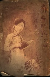 南巡秘纪正补编 - 封面图