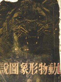 动物形象图说 - 封面图