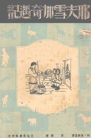 耶夫雪加奇遇记 - 封面图