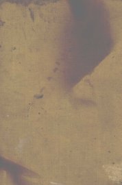 麦作新说 - 封面图