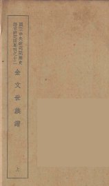 金文世族谱  上 - 封面图