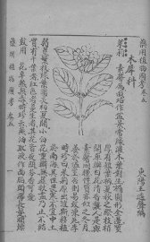 药用植物图考  卷5 - 封面图