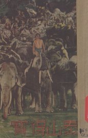 泰山得宝 - 封面图