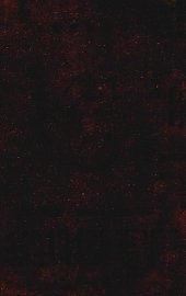 暴风雨 - 封面图