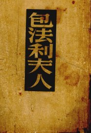 包法利夫人  外省风俗 - 封面图