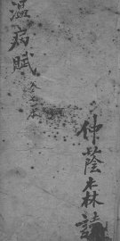 温病赋 - 封面图