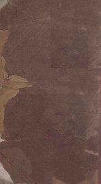 汰存录 - 封面图