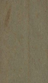 铁岭县志  正续编  1 - 封面图