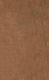 外科正宗  卷1-2 - 封面图