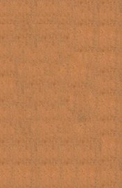 珍珠囊指掌补遗药性赋  卷1-4 - 封面图