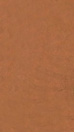 活动心书  中 - 封面图