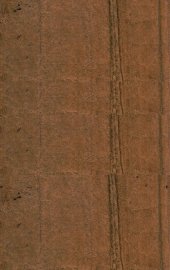 鸳鸯奇侠传  侠义小说  卷上 - 封面图