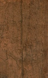 剑胆琴心录 - 封面图