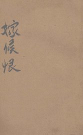 嫁侯恨 社会小说 - 封面图