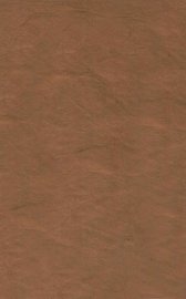 古写本华严音义 - 封面图