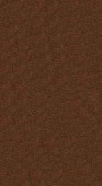 黄帝内经素问  卷5 - 封面图