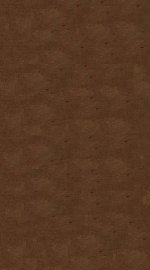 黄帝内经素问  卷6-7 - 封面图