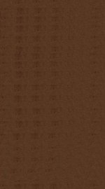 黄帝内经素问  卷8下-卷9 - 封面图