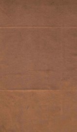 宣统政纪  卷25-26 - 封面图