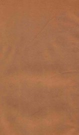 宣统政纪  卷38-39 - 封面图