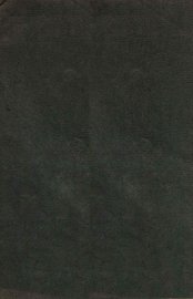 番汉合时掌中珠  专志 - 封面图