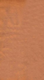 伤寒补亡论  卷6-10 - 封面图