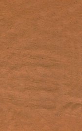 医案梦记  下 - 封面图