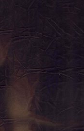 季子白盘铭 - 封面图