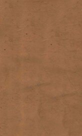 唐拓化度寺碑残本 - 封面图