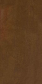 弢园随笔 - 封面图