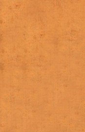 山海经图说  卷13-17 - 封面图