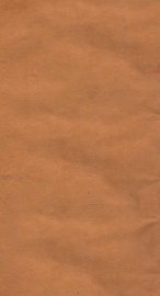 十药神书 - 封面图