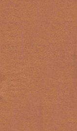 眼科切要 - 封面图