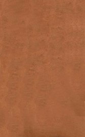 医学真传 - 封面图