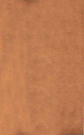 医林指月  扁鹊心书神方 - 封面图