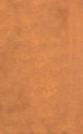 医林指月  易氏医案 - 封面图