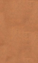 瘟疫条辨摘要 - 封面图