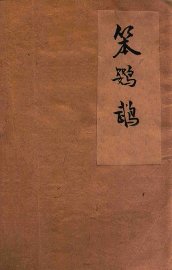 笨鹦鹉 - 封面图