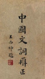 中国文词辨正 - 封面图