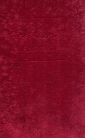 铜人经穴图考  全1册 - 封面图