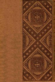 中国文学概论 - 封面图