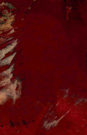 中国女性的文学生活 - 封面图